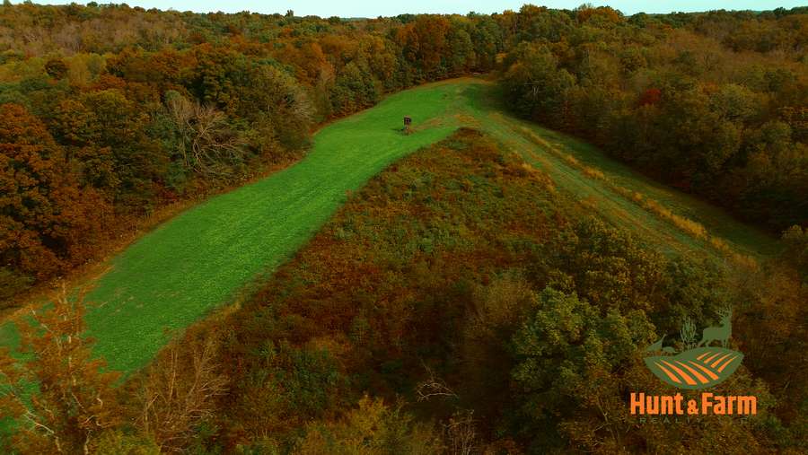 Still 2025-11-29 081237_1.23.1.jpg